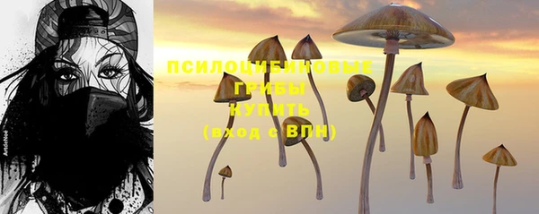 крисы Богданович