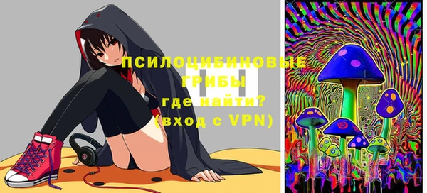 бошки Верхний Тагил