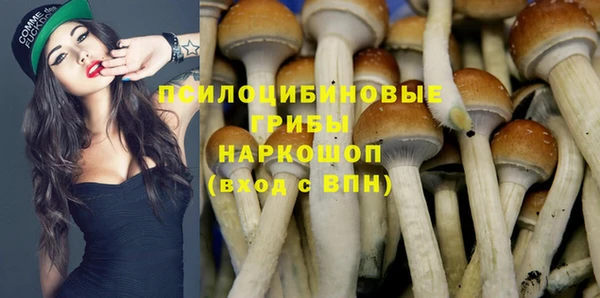 марки nbome Богородицк